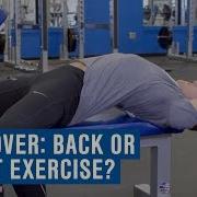 Dumbbell Pullover Chest Or Back Exercise