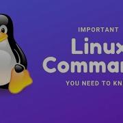 Linux Command Line Full Course Beginners To Experts Bash Command Line Tutorials