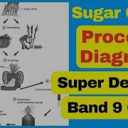 How To Describe A Process Diagram IELTS Writing Task 1 Band 9 Guide