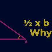 Area Of Triangle X B X H Why Fun Math Don T Memorise