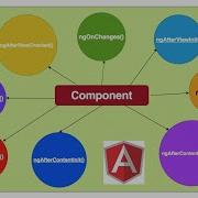 18 Angular 2 Angular Component Lifecycle Hooks Part 1