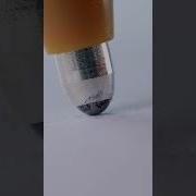 This Is Why You Should Never Drop Your Pen Closeup Macro