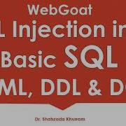 SQL Basic DML DDL DCL TCL SQL Injection Intro WebGoat