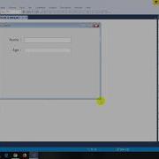 C WinForm UI Display User Input In MessageBox