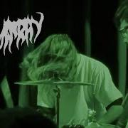 Trauma Ray Live At Washington D C FULL SET 11 16 24