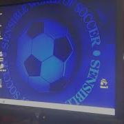 SWOS On NEOWARE CA2 W SB Live Alfatwin 2xGameport Adapter
