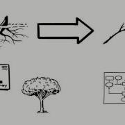 Decision Trees