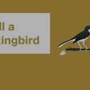 To Kill A Mockingbird Themes Harper Lee