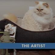 Tiny Chef The Artist