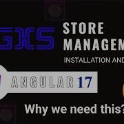 NGXS Angular State Management Installation And Use