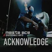 Masta Ace DA Acknowledge Disposable Arts
