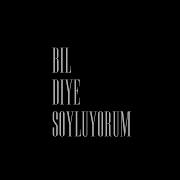 Sibel Can Bil Diye Söylüyorum Slowed