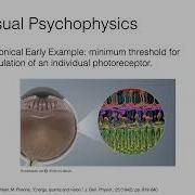 XAI4Biometrics At WACV 2022 Professor Walter J Scheirer