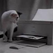 Cannon Commercial 1994