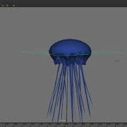 Jellyfish Rig