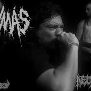 NO MÁS Claustrophobia Live At NECROFEST July 10th 2022