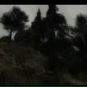 Unity 3D Forest