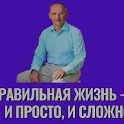 Правильная жизнь и просто и сложно Торсунов лекции
