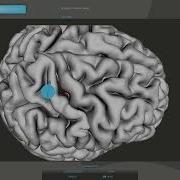 Neuronavigator For RTMS Psychophysiology Lab