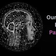 The Power Of Pattern Recognition Our Brain S Forgotten Ability