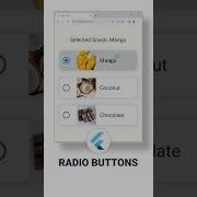 How To Make Radio Buttons In Flutter