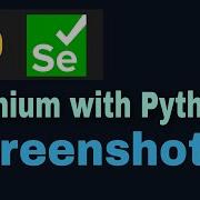 Selenium With Python Tutorial 45 Screenshots