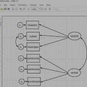 Confirmatory Factor Analysis Using Stata 2023