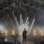 Дельфин 612 Live