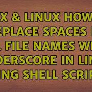 Unix Linux How To Replace Spaces In All File Names With Underscore In Linux Using Shell Script