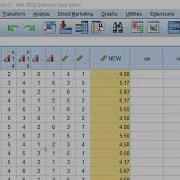 SPSS Syntax Function