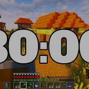 30 MIN MINECRAFT TIMER