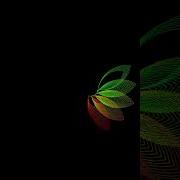 Amazing Flower Design Using Python Turtle Python Coding Funny Viral Trending Design