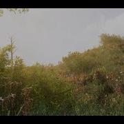 Beautiful Cryengine 3 Grassland And Swamp Ultra Settings 1080p My Custom Game