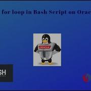 How To Use For Loop In Bash Script On Oracle Linux 9 4