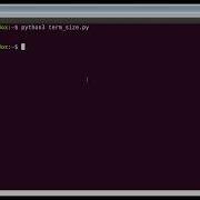 How To Get The Terminal Size In Python