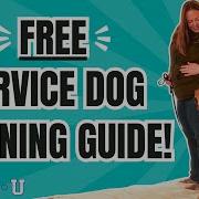 Complete Guide To Training Your Own Service Dog