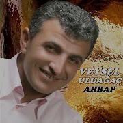 Arkadaş
