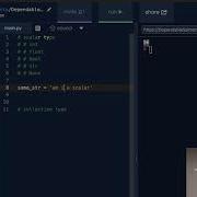Scalar Types What Is A Scalar Type