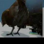 Crysis Physics Test Truck S Boom Mega Chickens