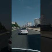 Oy Gülüm Gülüm Gülüm