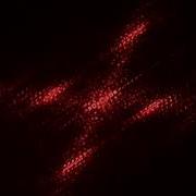 Diffraction Various Objects