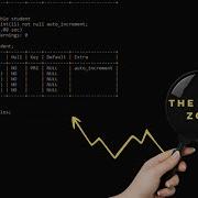 How To Create MySQL Database Using Command Prompt Xampp Shell With Cmd