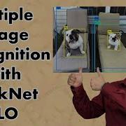 Recognizing Multiple Images With YOLOv3 6 5