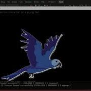How To Load And Animate A Sprite Character In Raylib Beginner Tutorial