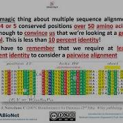 S1L7 Lec7 Interpreting Your Multiple Sequence Alignment 2025