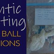 Introducing Genetic Tests For Ball Python In Europe