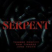 SERPENT Tommee Profitt X Sam Tinnesz X Jung Youth