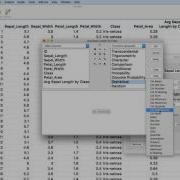 JMP Using Functions