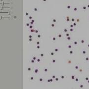 Predator Prey Ecosystem A Real Time Agent Based Simulation