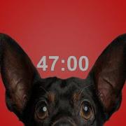 47 Minute Timer For School Homework Dog Bark Alarm Sound Improve Focus Productivity